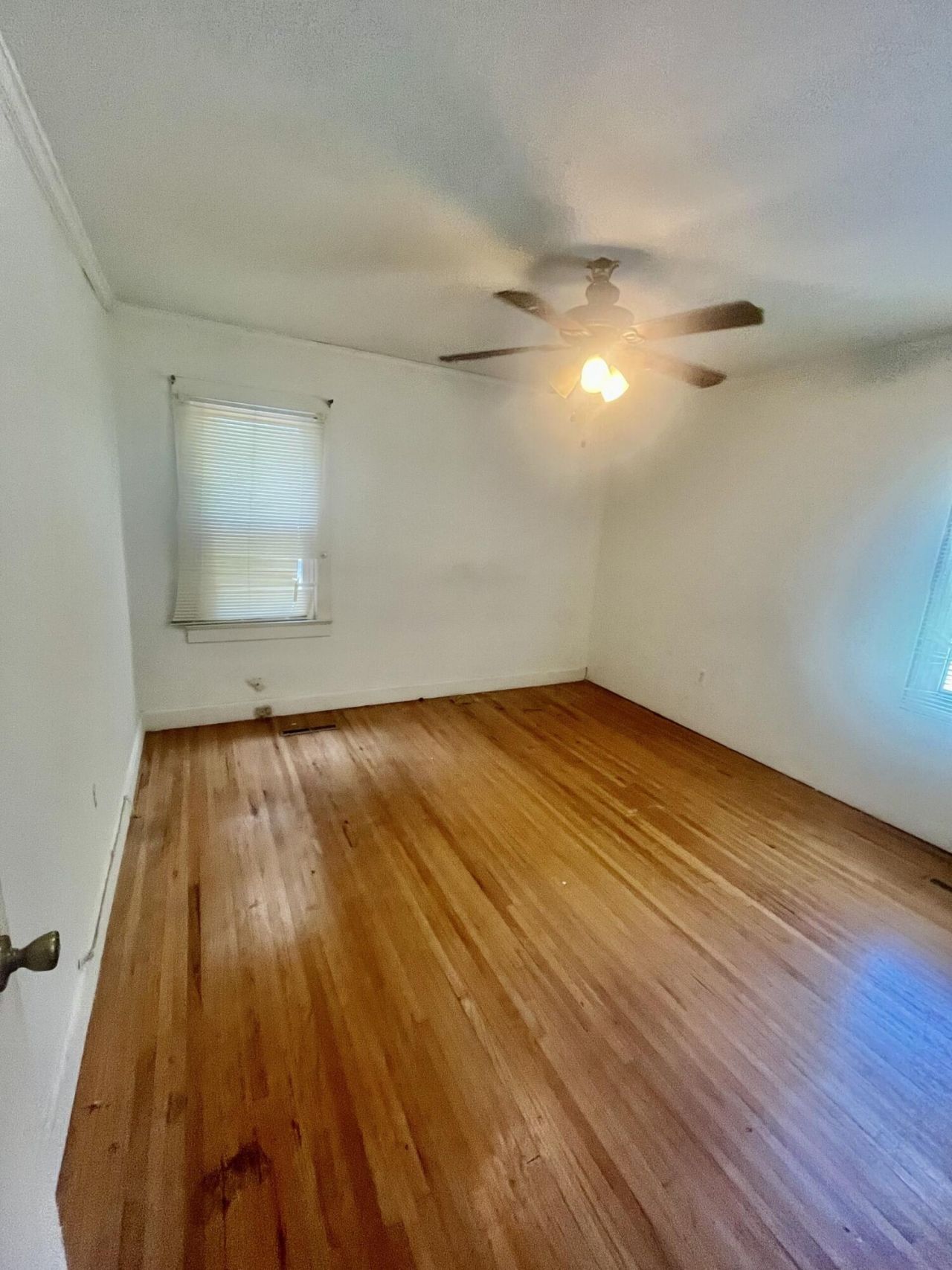 210 Orange Street Photo 14