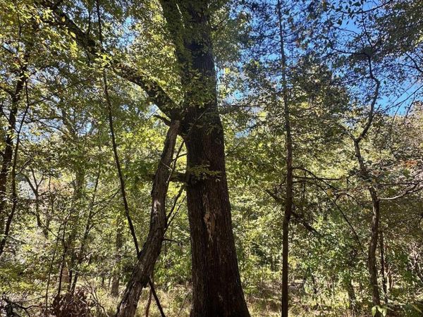 St Augustine Drive, Madison, MS 39110