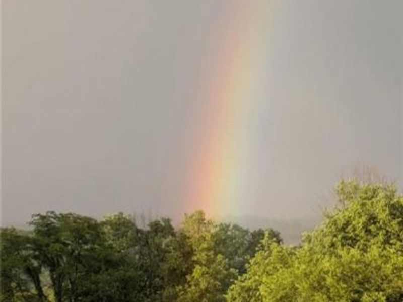 679 Oxford Germantown Road, Camden, OH 45311 Photo 6