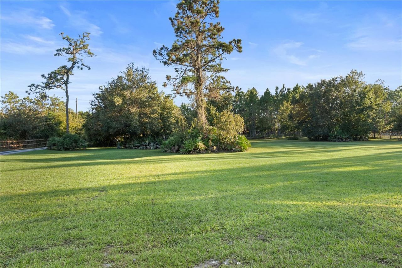 20107 Starry Street, Orlando, FL 32833 Photo