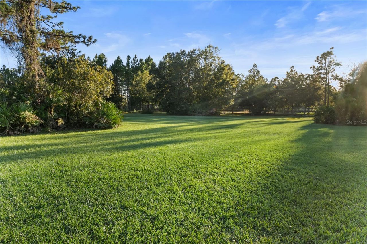 20107 Starry Street, Orlando, FL 32833 Photo