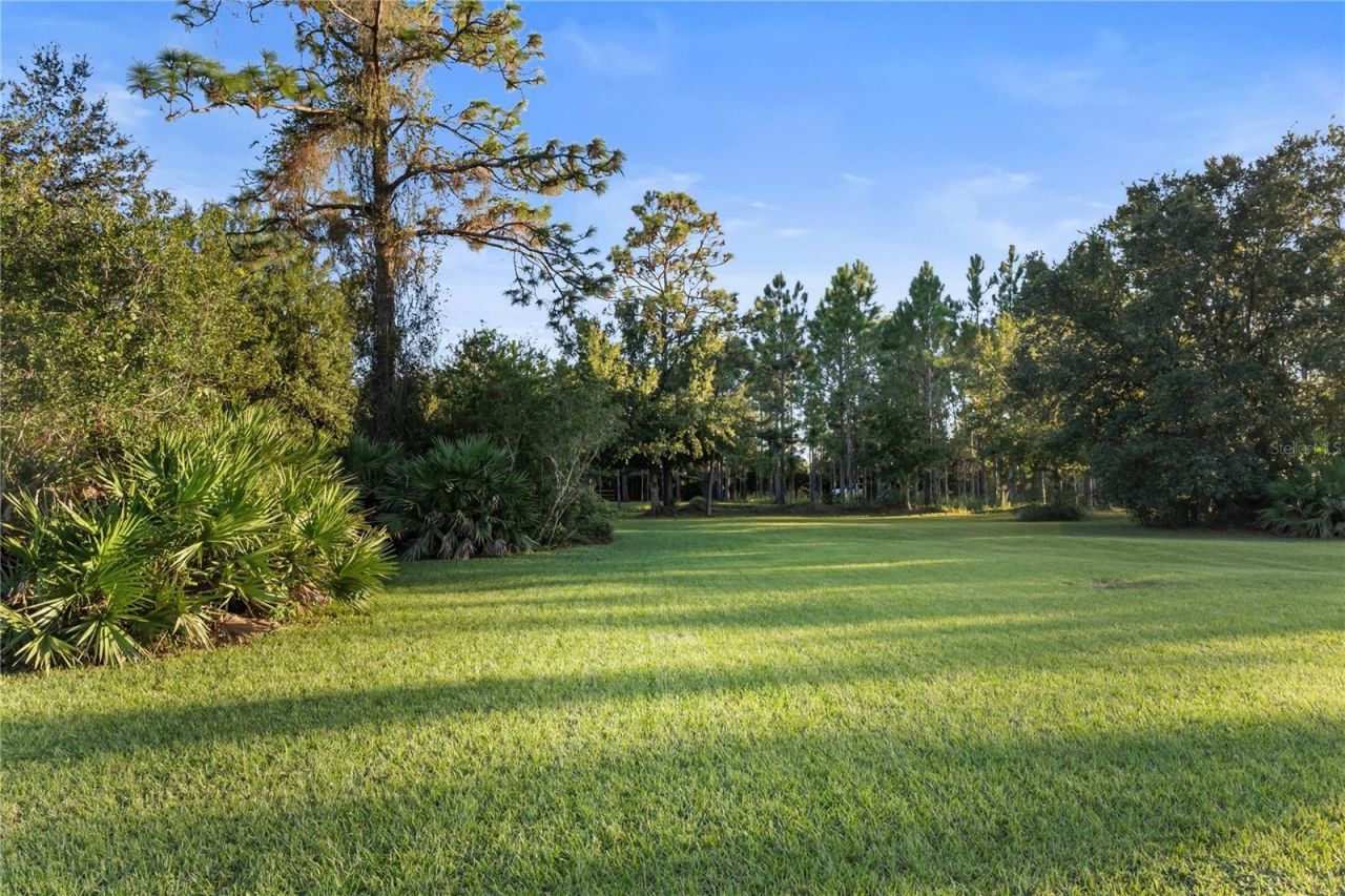 20107 Starry Street, Orlando, FL 32833 Photo