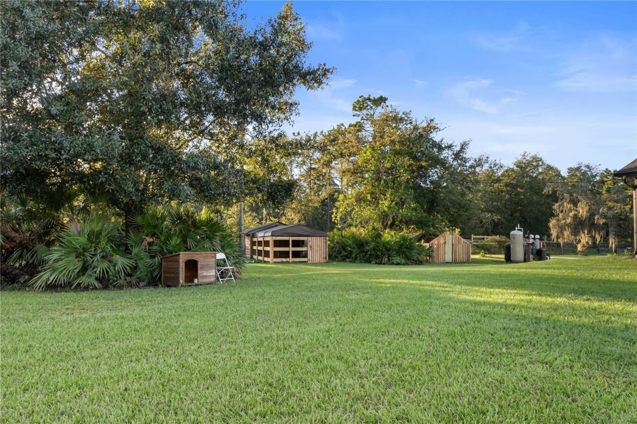 20107 Starry Street, Orlando, FL 32833 Photo