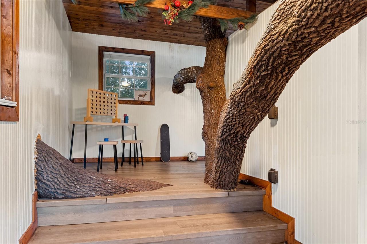 20107 Starry Street, Orlando, FL 32833 Photo