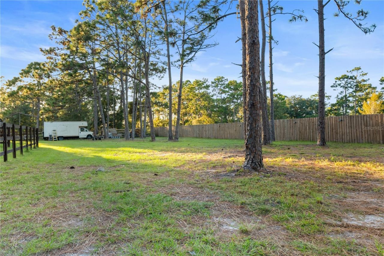 20107 Starry Street, Orlando, FL 32833 Photo