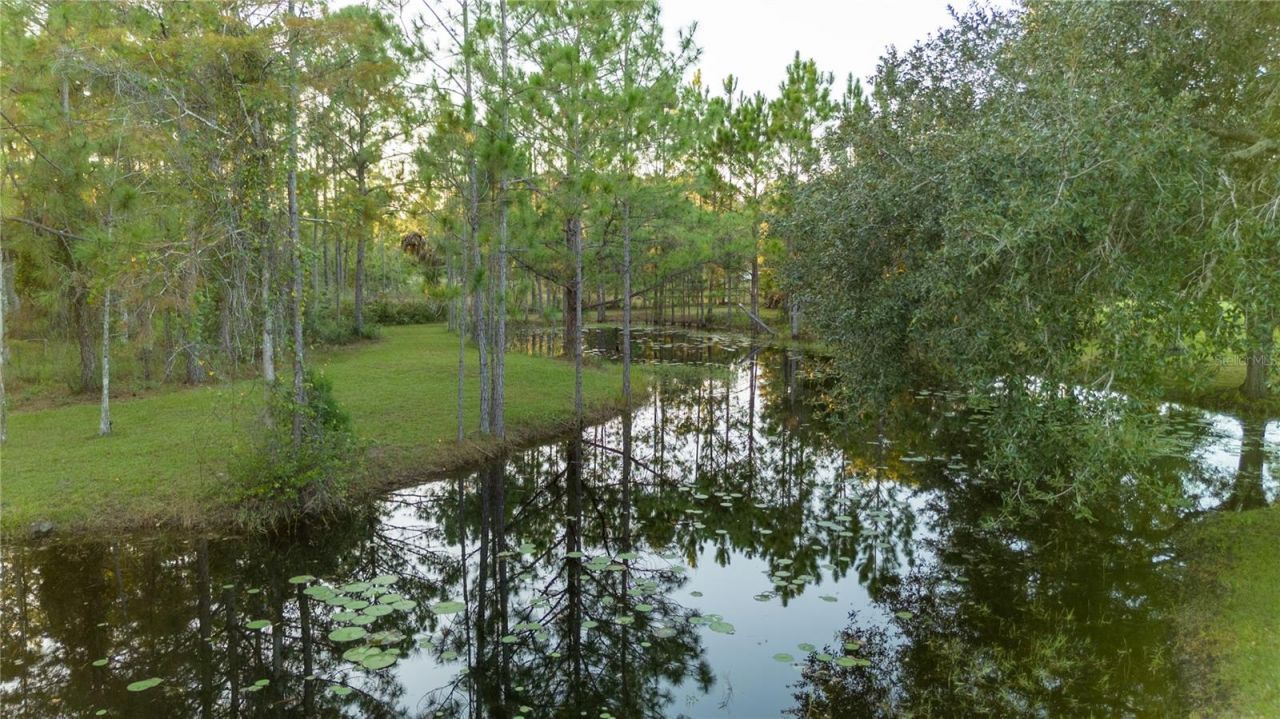 20107 Starry Street, Orlando, FL 32833 Photo