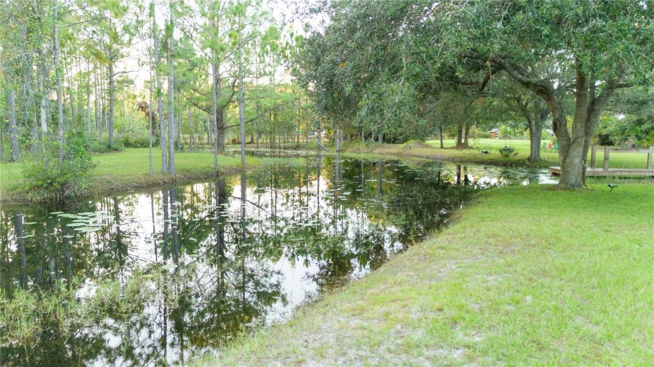 20107 Starry Street, Orlando, FL 32833 Photo