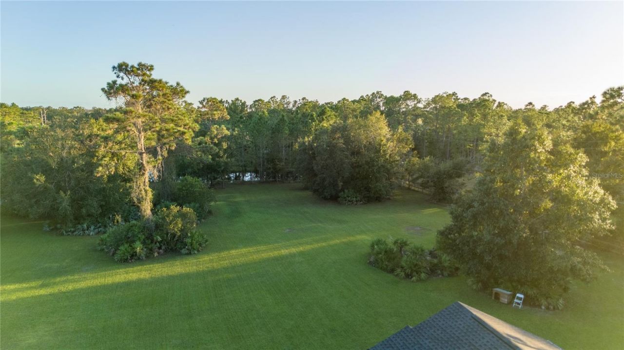 20107 Starry Street, Orlando, FL 32833 Photo