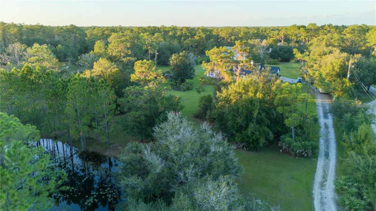 20107 Starry Street, Orlando, FL 32833 Photo