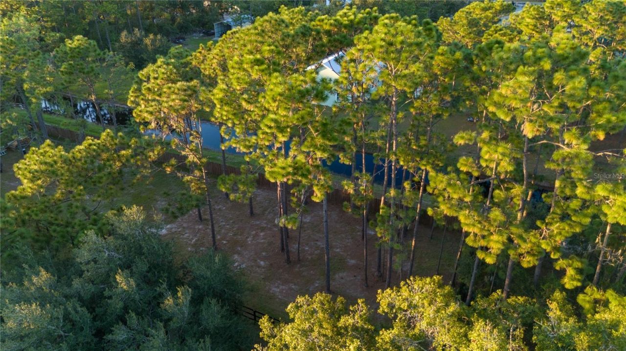 20107 Starry Street, Orlando, FL 32833 Photo