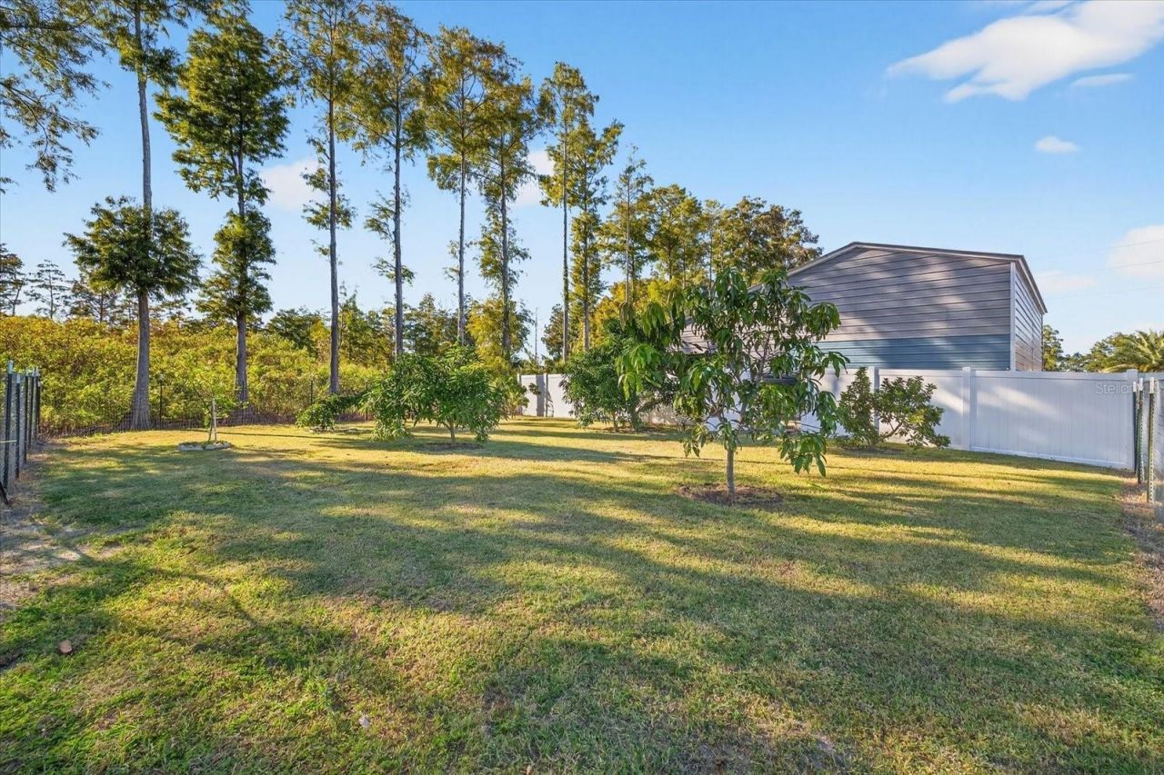 3914 Sligh Avenue, Tampa, FL 33614 Photo