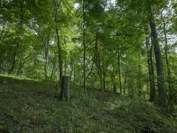 4820 Kopper Pond Rd., HANOVER, IL 61041