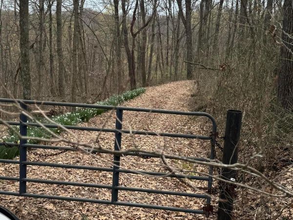 0 Bellia Rd Road , Laurelville, OH 43135