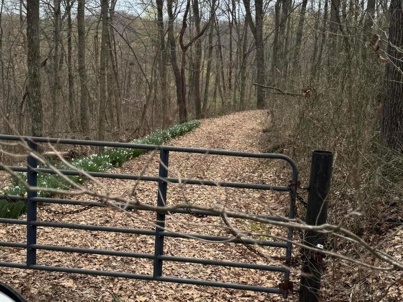 0 Bellia Rd Road, Laurelville, OH 43135 Photo 1