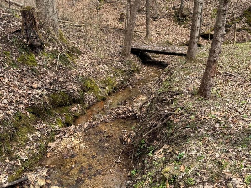 0 Bellia Rd Road, Laurelville, OH 43135 Photo 2