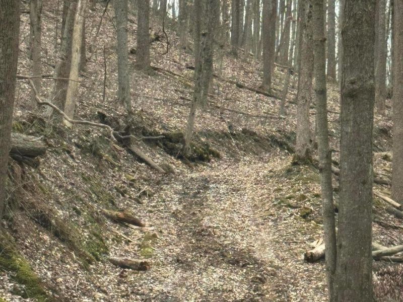 0 Bellia Rd Road, Laurelville, OH 43135 Photo 6