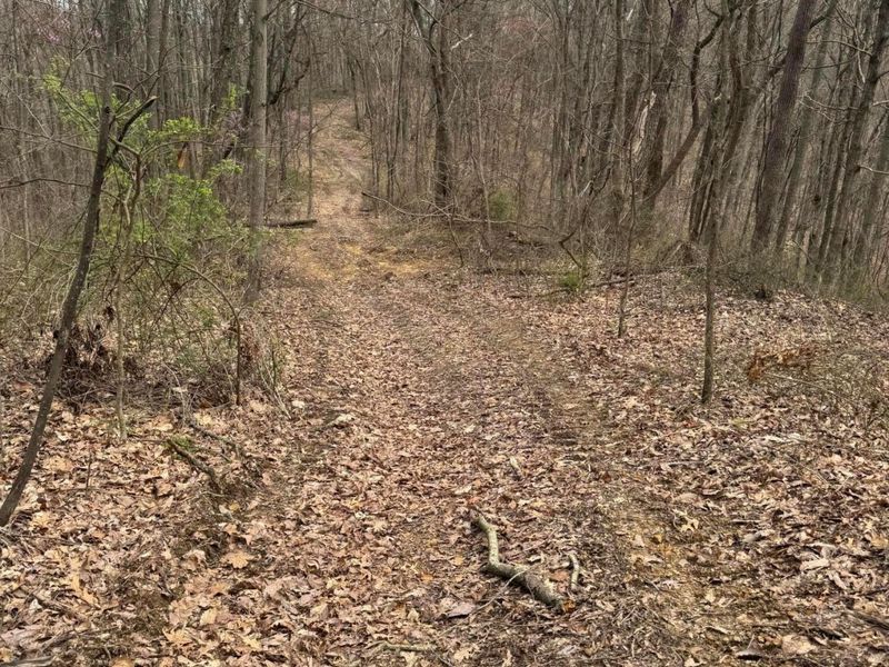 0 Bellia Rd Road, Laurelville, OH 43135 Photo 7