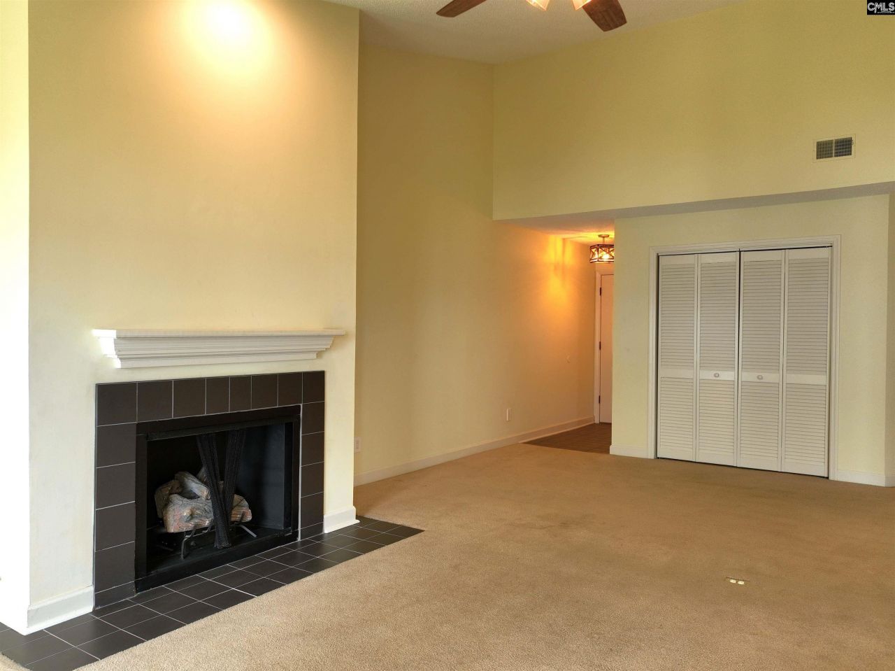 1441 Old Chapin Road Photo 10