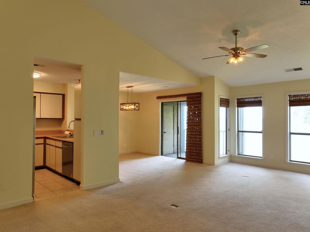 1441 Old Chapin Road Photo 11