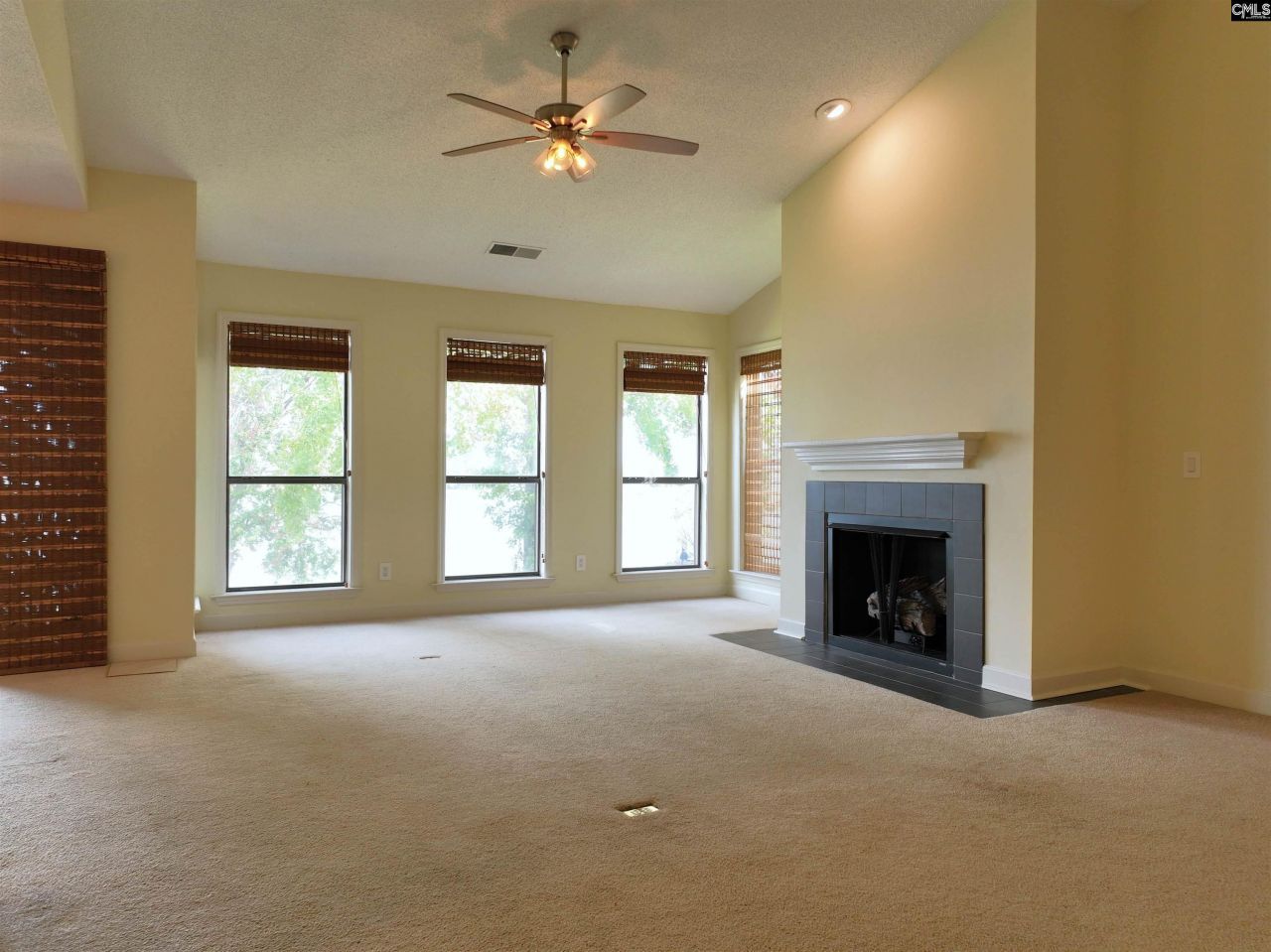 1441 Old Chapin Road Photo 12