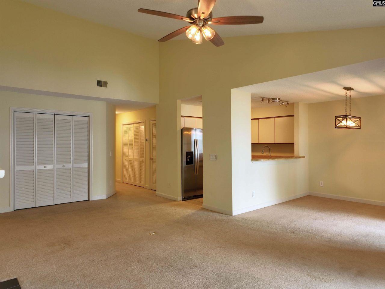 1441 Old Chapin Road Photo 15