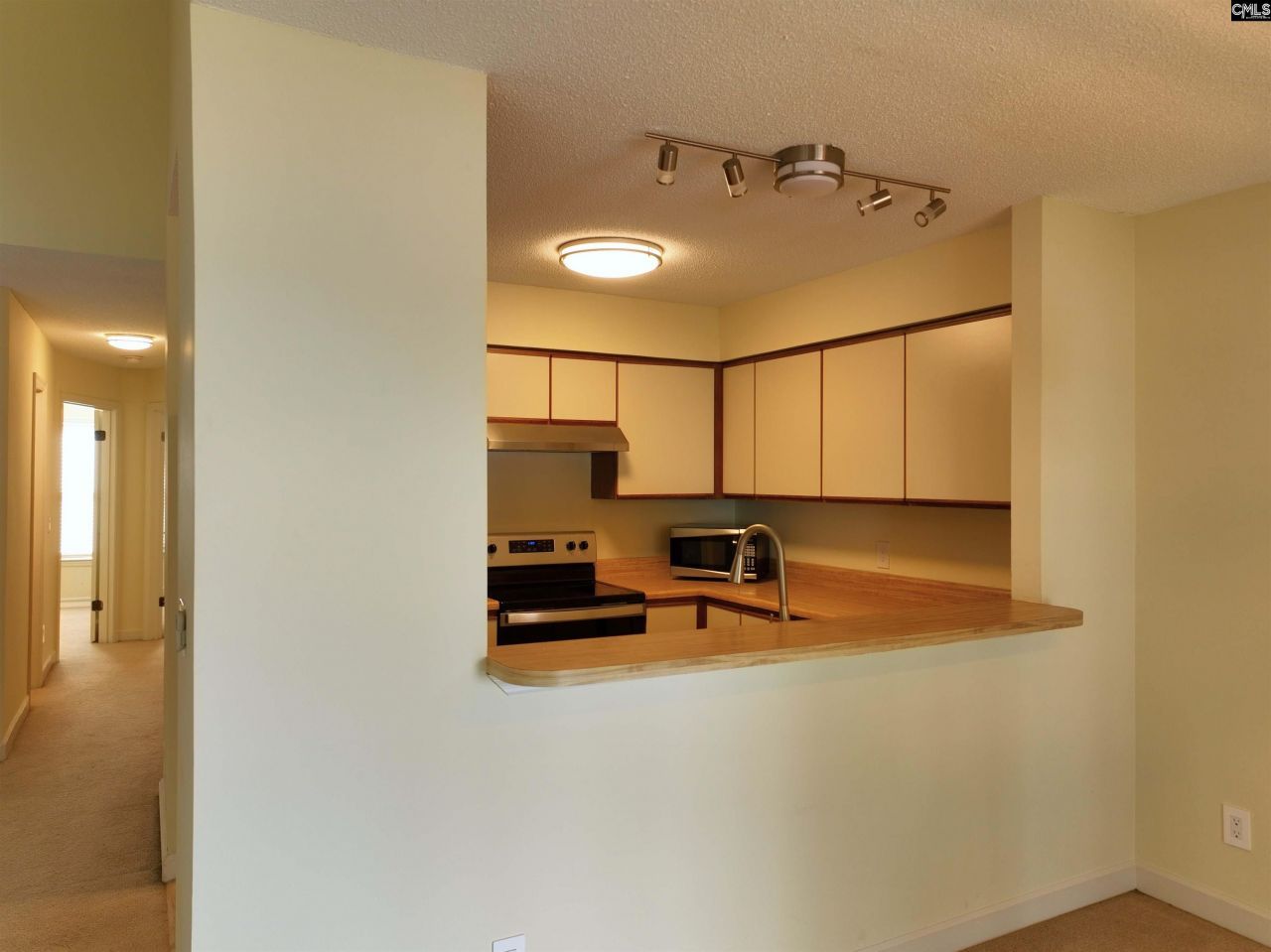 1441 Old Chapin Road Photo 16