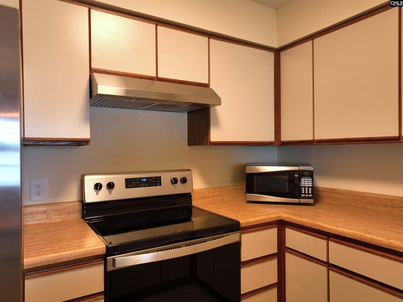 1441 Old Chapin Road Photo 18