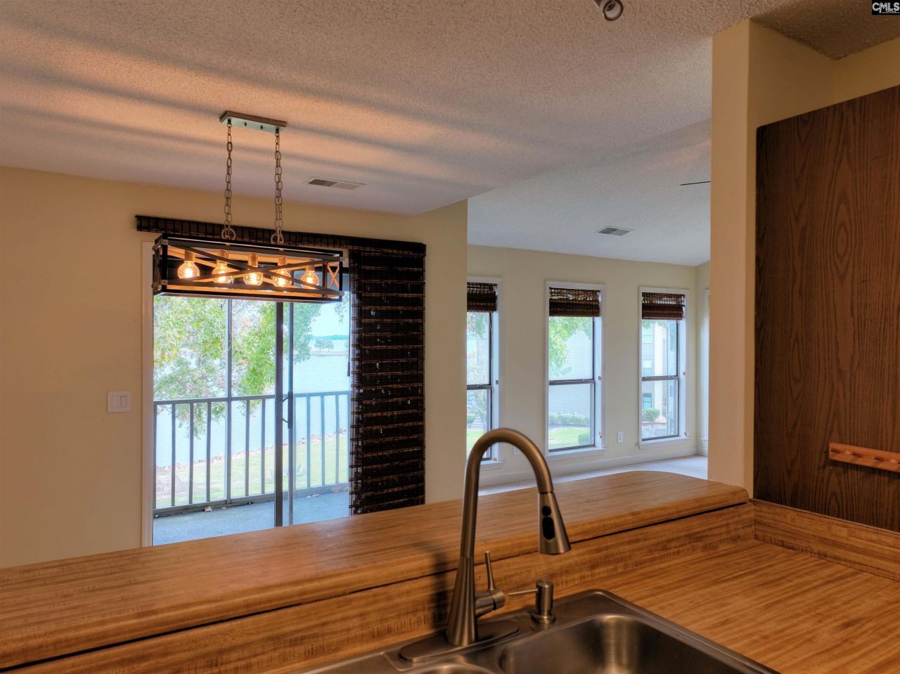 1441 Old Chapin Road Photo 19