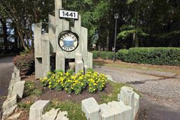 1441 Old Chapin Road photo 4