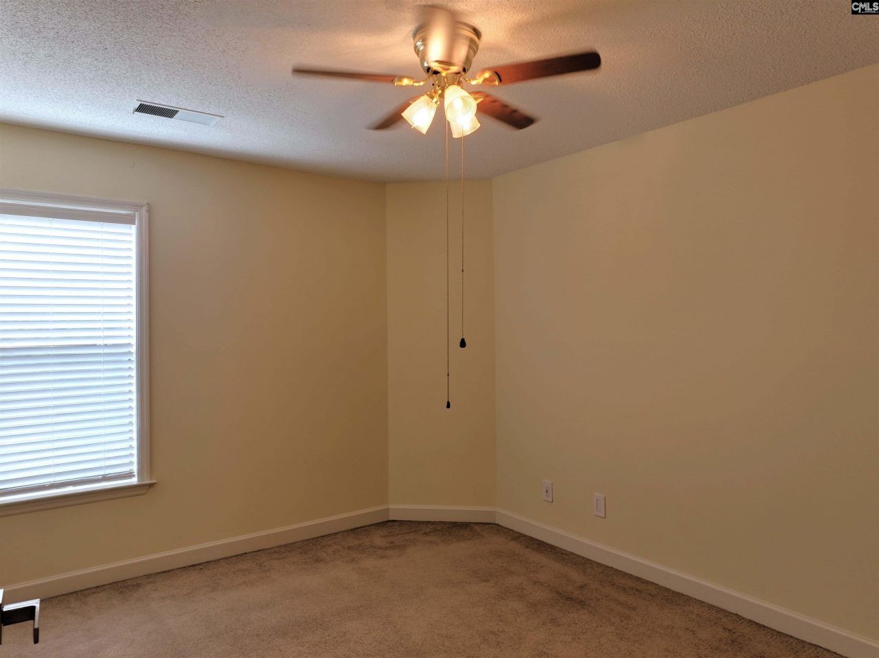 1441 Old Chapin Road Photo 20