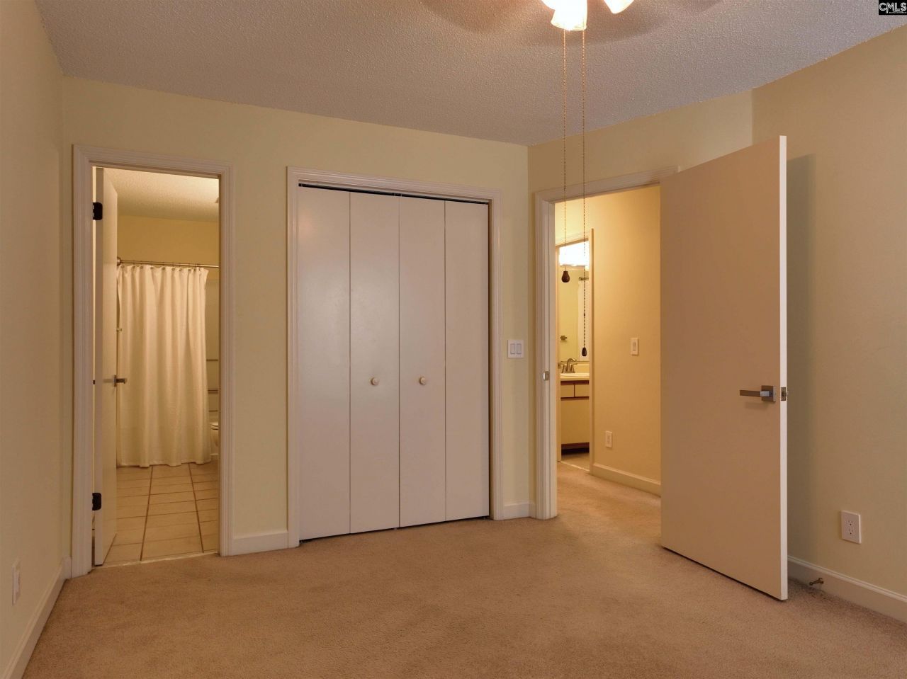 1441 Old Chapin Road Photo 21