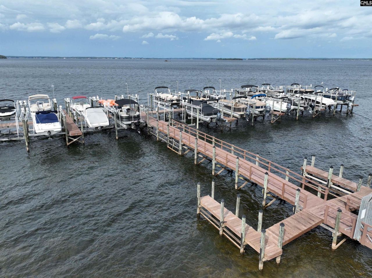 1441 Old Chapin Road Photo 27