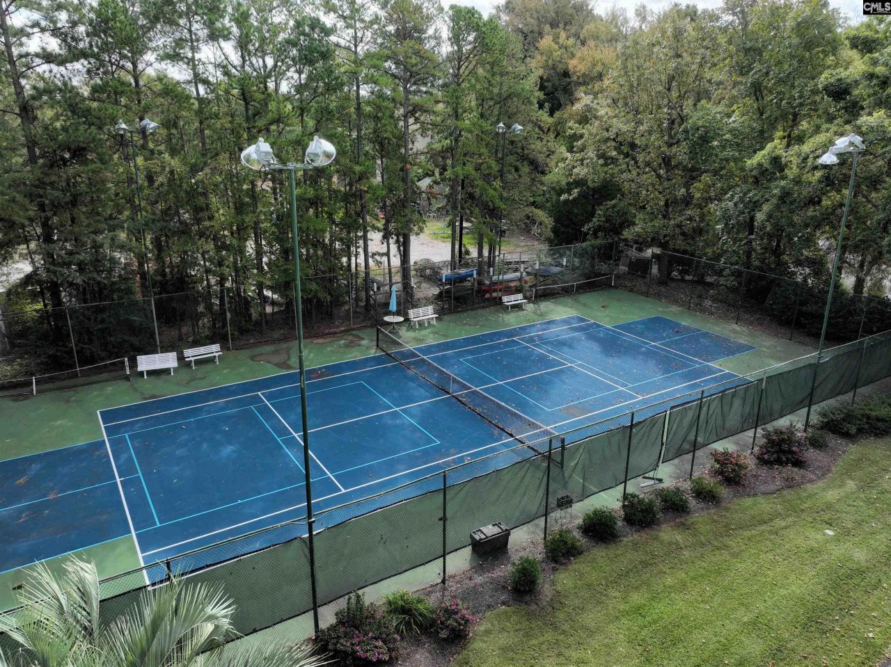 1441 Old Chapin Road Photo 7