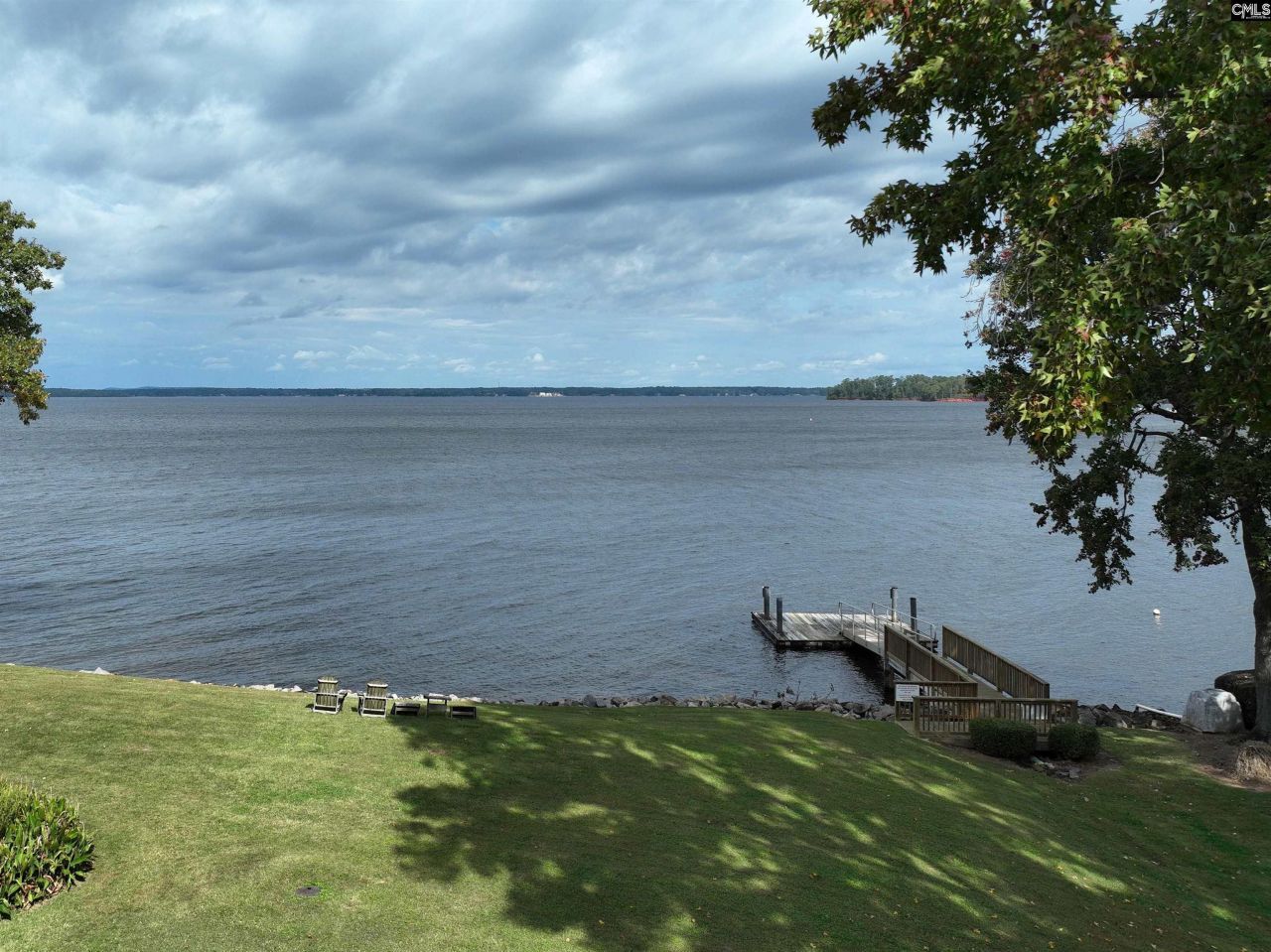 1441 Old Chapin Road Photo 9