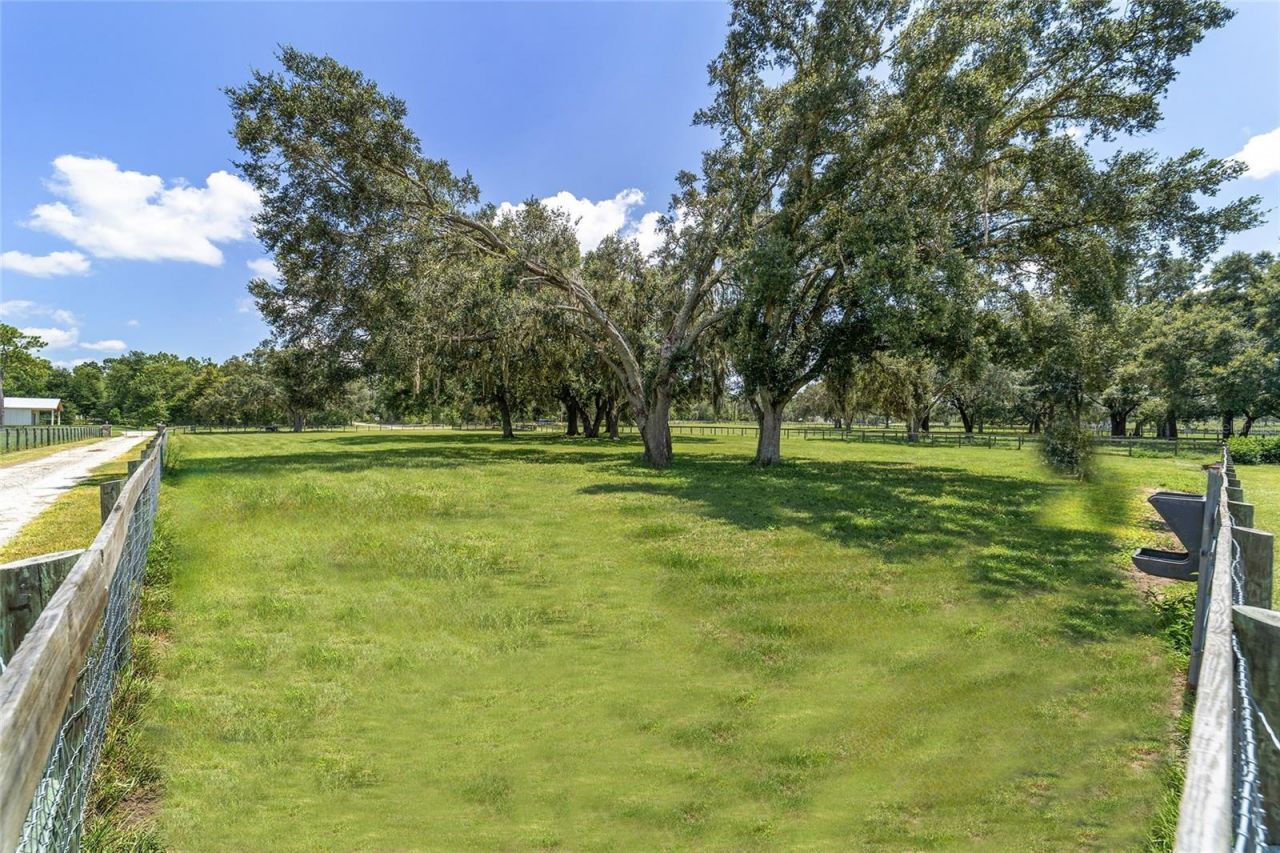 280 NE 150th Avenue, Williston, FL 32696 Photo