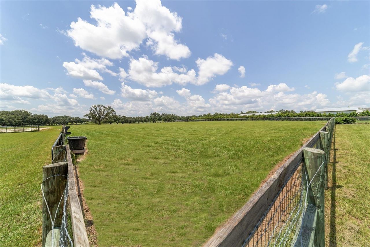 280 NE 150th Avenue, Williston, FL 32696 Photo