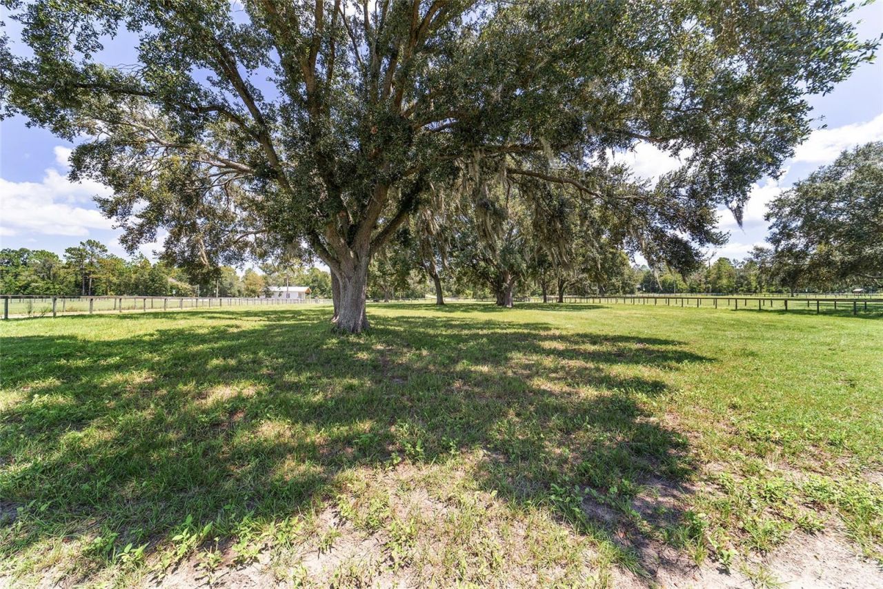 280 NE 150th Avenue, Williston, FL 32696 Photo