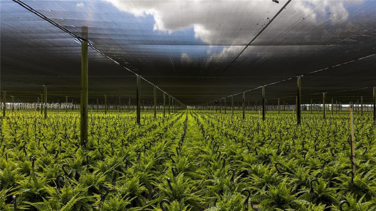 35 Acres Of Improved Agricultural Land For Sale, Homestead, FL 33030 Photo