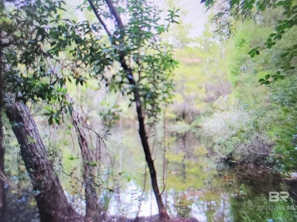 0 Juniper Road, Seminole, AL 36574