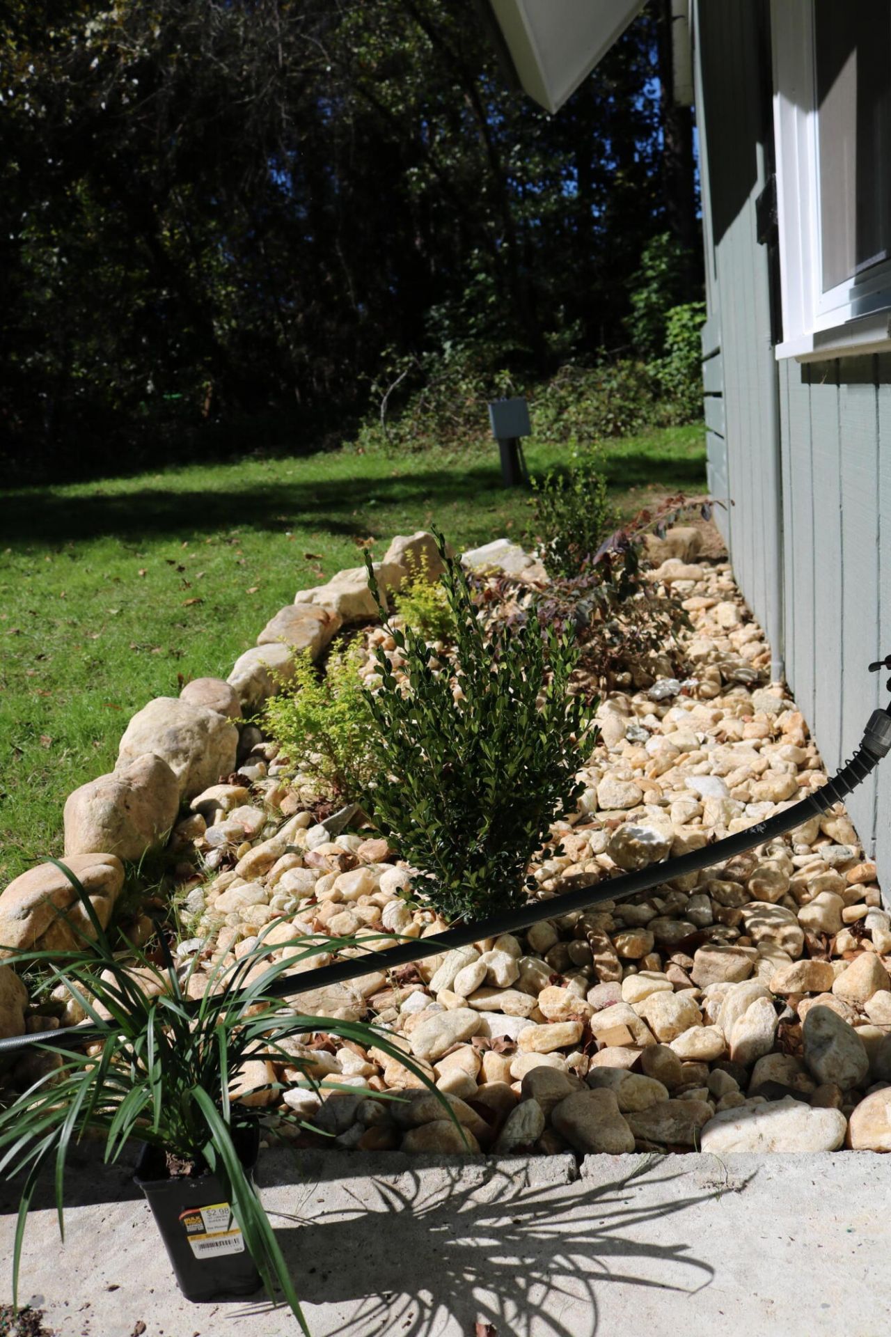 241 Rose Avenue Photo 14