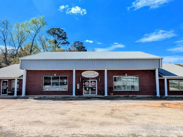 17115 Jordan street, Chatom, AL 36518