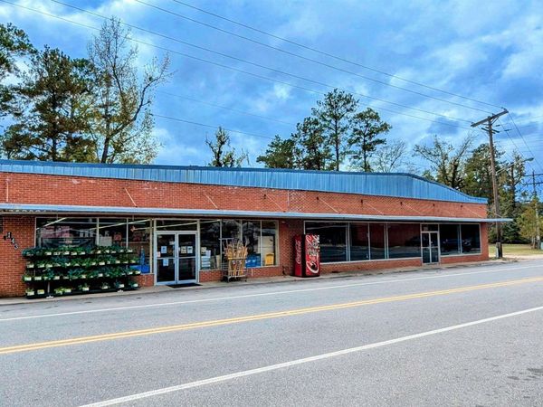 143 Healing Springs Avenue, Millry, AL 36558