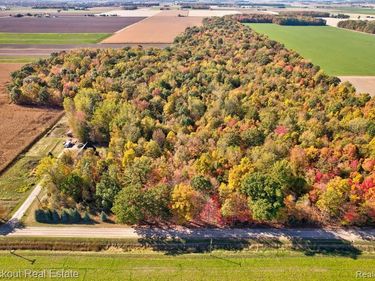 4000 S Reese Road, Frankenmuth Twp, MI 48734