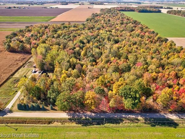 4000 S Reese Road, Frankenmuth Twp, MI 48734