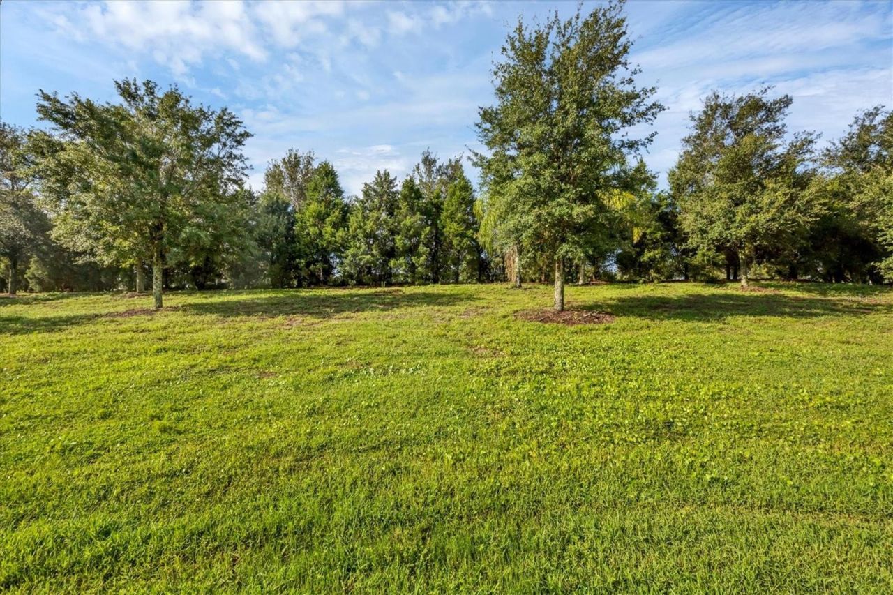 13008 Deep Blue Place, Bradenton, FL 34211 Photo