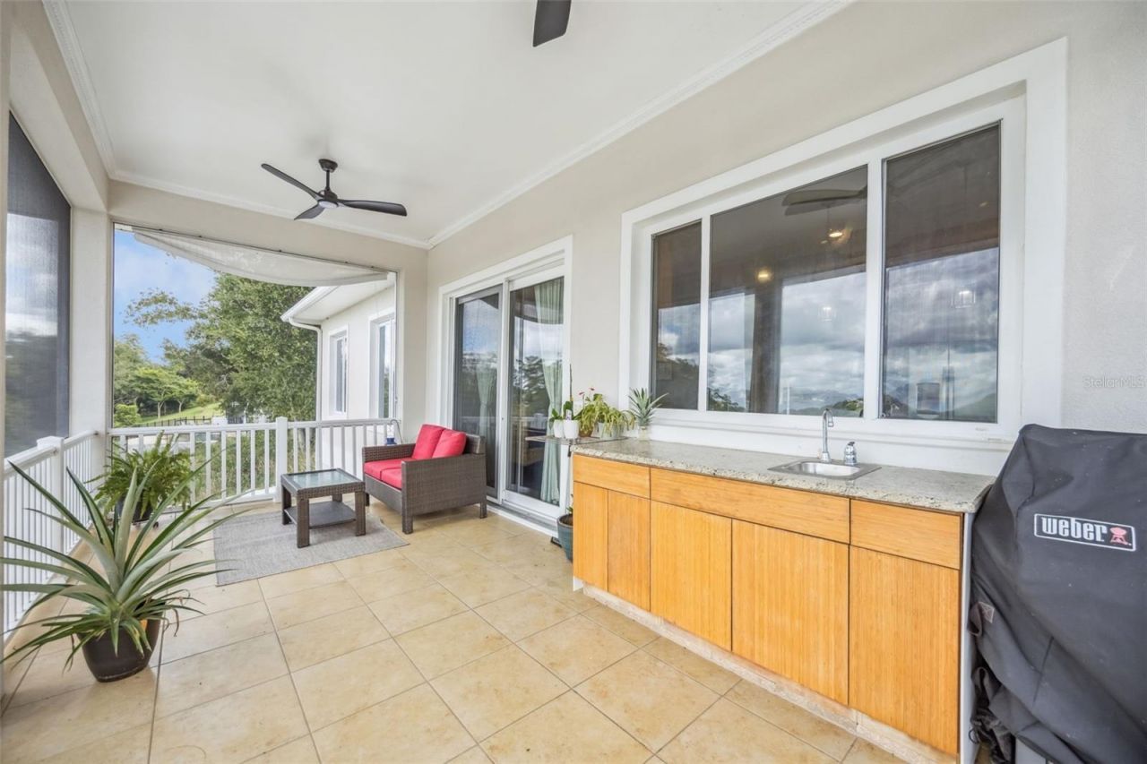 16909 Florence View Drive, Montverde, FL 34756 Photo