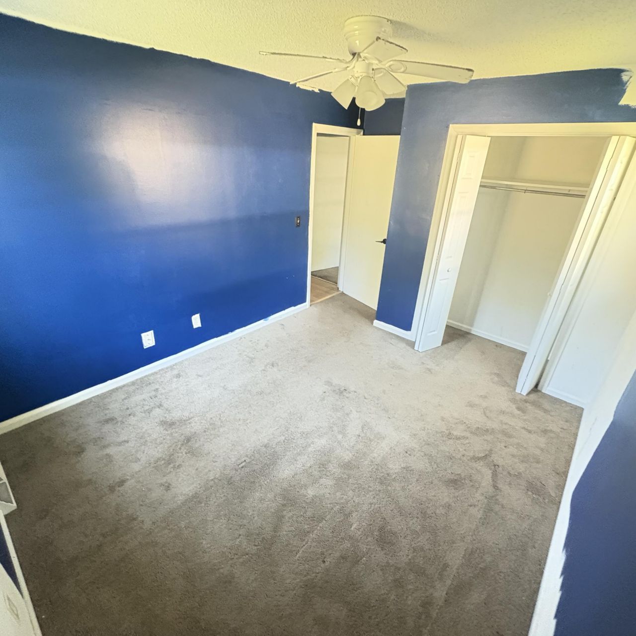 206 Limehouse Drive Photo 11