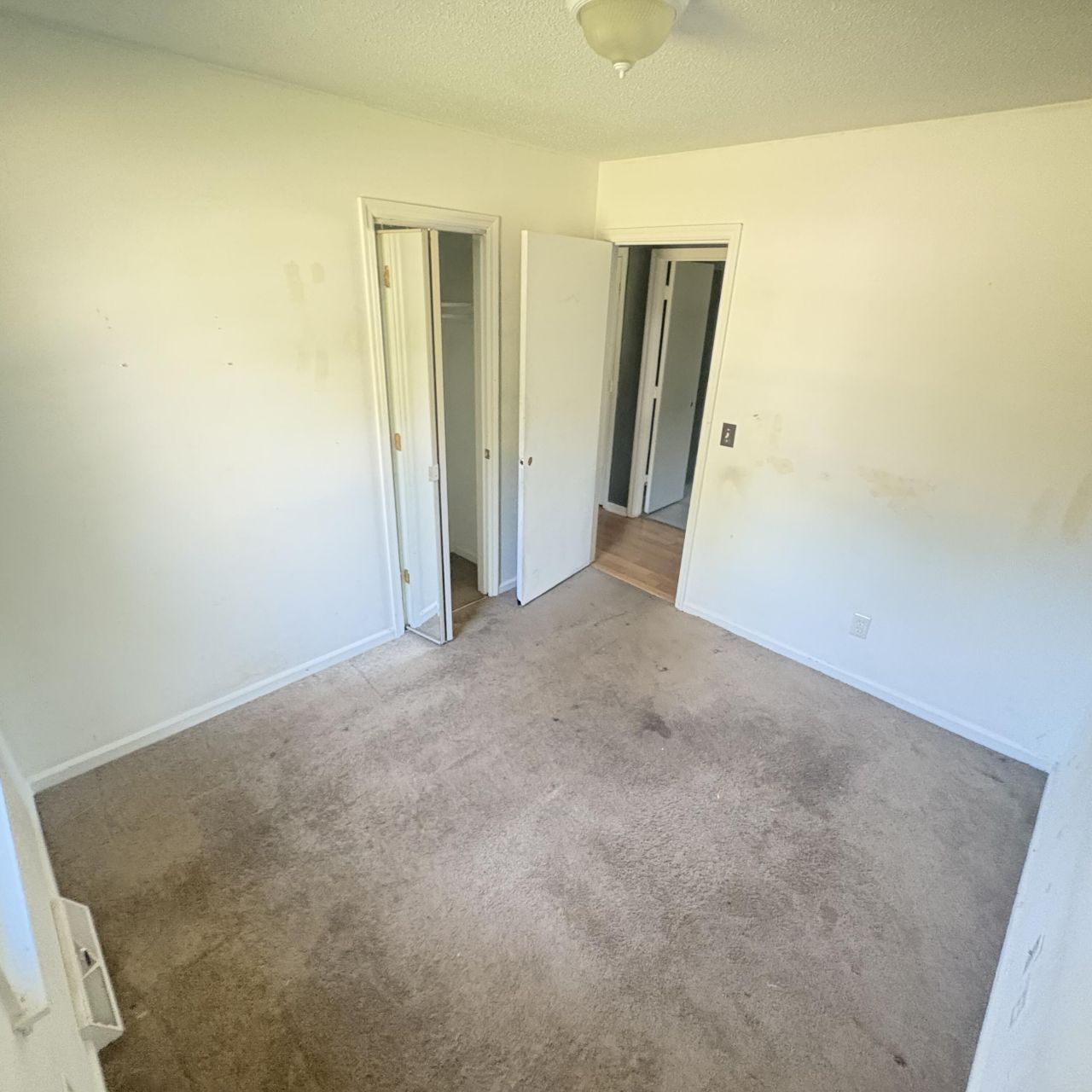 206 Limehouse Drive Photo 13