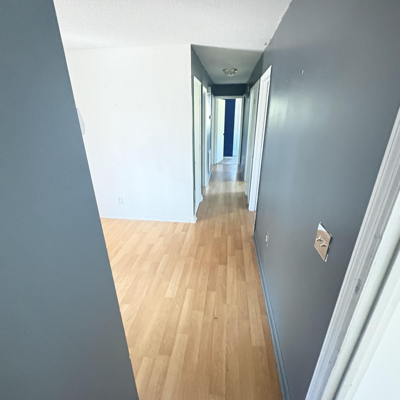 206 Limehouse Drive Photo 8