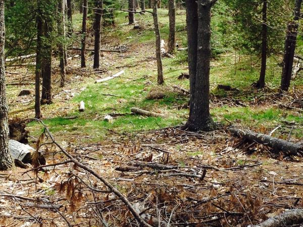 0 Peterson Lane, Brunswick, ME 04011